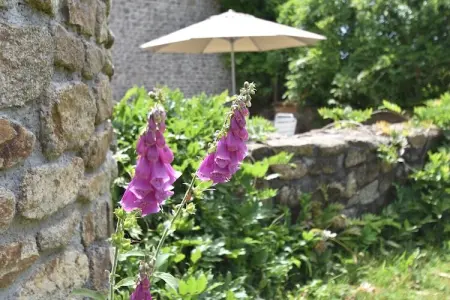 Les Volets Bleus, Belle maison de maître avec jardin clôturé - Photo 28