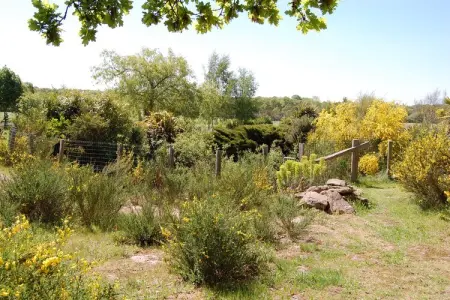 Les Volets Bleus, Belle maison de maître avec jardin clôturé - Photo 30