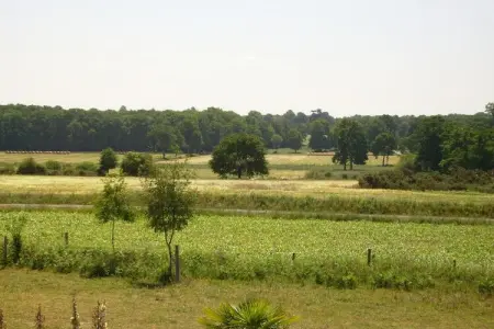 Les Volets Bleus, Belle maison de maître avec jardin clôturé - Photo 31