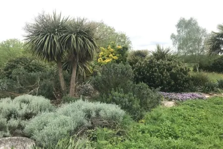 Les Volets Bleus, Belle maison de maître avec jardin clôturé - Photo 37