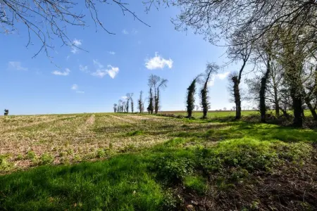 La Ville Hervé, Retraite paisible dans un jardin, Epiniac - Photo 27