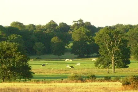 Résidence Le Domaine de l'Emeraude 3, Maison en Bretagne près de Côte d'Émeraude - Photo 34