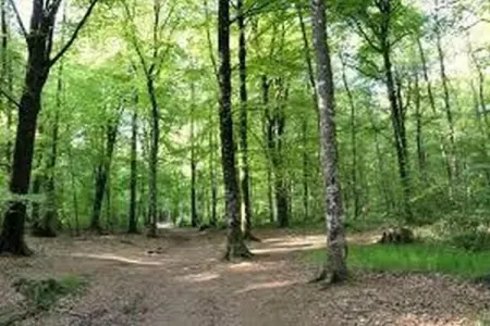 Résidence Le Domaine de l'Emeraude 2, Appartement en Bretagne près de Côte d'Émeraude - Photo 20