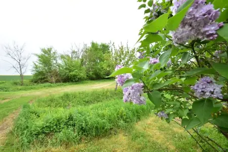 Gite 6 pers près de Châteauroux, Gîte dans une ancienne ferme isolée - Photo 30