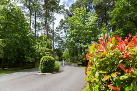 Villas Clairière aux Chevreuils 1, Spacieuse Villa Moliets - Photo 32