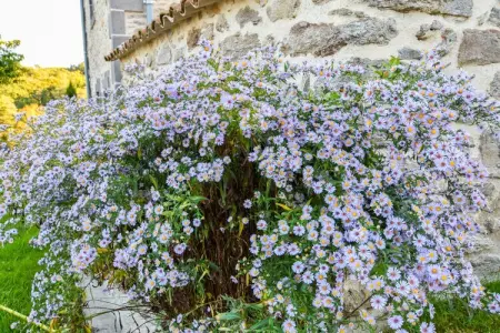 Maison à la campagne, Maison de vacances avec terrasse privée - Photo 28
