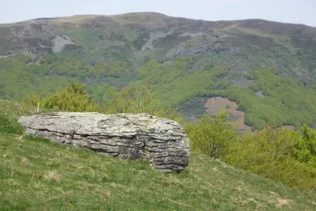 Gite du Pradal, Refuge à Villeneuve-d'Allier - Photo 31