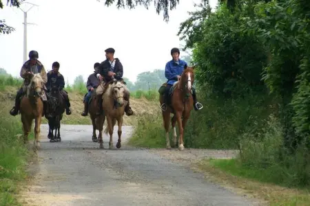 Heslonniere, Maison de campagne paisible - Photo 30