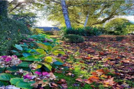 Heslonniere, Maison de campagne paisible - Photo 33
