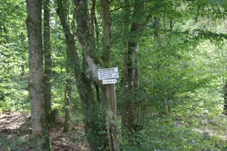 La Schwingmuhle, Retraite en forêt dans les Vosges - Photo 25