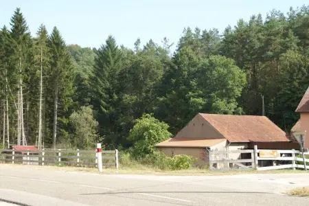 La Schwingmuhle, Retraite en forêt dans les Vosges - Photo 28