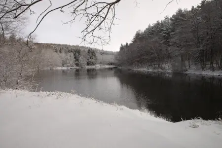 La Schwingmuhle, Retraite en forêt dans les Vosges - Photo 36