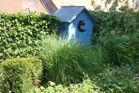 La Schwingmuhle, Retraite en forêt dans les Vosges - Photo 38