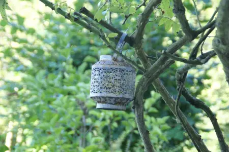 NOISETTE - beneden, Retraite vosgienne avec sauna - Photo 36