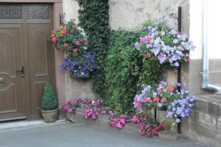 Le Gîte Fleuri, Gîte avec vue sur les Vosges - Photo 1