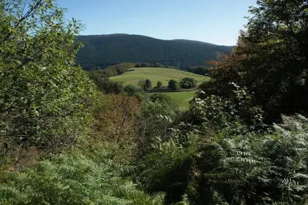 Gîte St Honoré les Bains, Maison de vacances unique à Saint-Honoré-les-Bains - Photo 19