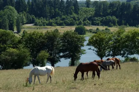 Les Hauts de Valjoly 4, Maison mitoyenne à ValJoly près du parc - Photo 35