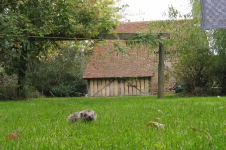 Le Fournil, Maison de vacances à Ceaucé Mont Saint Michel - Photo 16