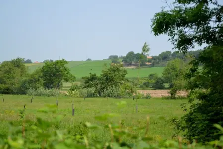 Londefort, Gîte à Wierre-Effroy proche forêt - Photo 16