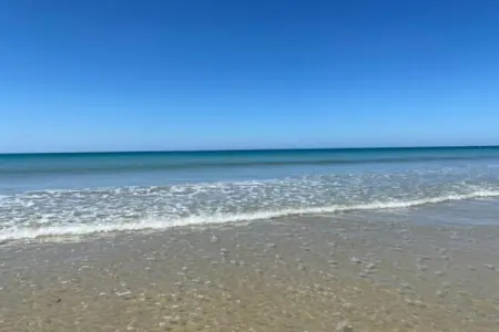 Abbaye St-Andre 7, Maison près de Merlimont-Plage et abbaye - Photo 25