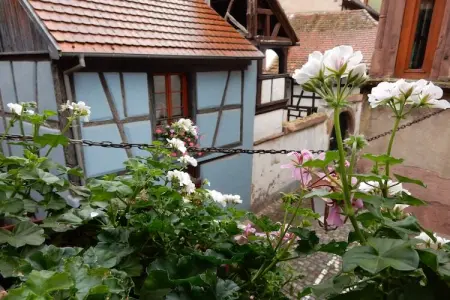 La Stub, Appartement à Riquewihr près des vignes - Photo 19