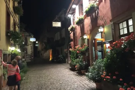 L'Etable, Appartement à Riquewihr près des Vignes - Photo 31