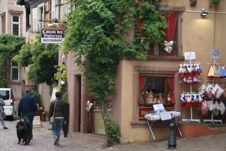 L'Etable, Appartement à Riquewihr près des Vignes - Photo 33