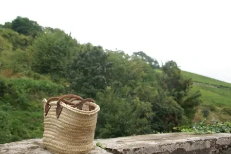 La Kuch, Appartement à Riquewihr avec terrasse - Photo 28