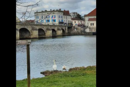 Gîte de Gray la Jolie, Maison à Gray près de forêt et lac - Photo 35