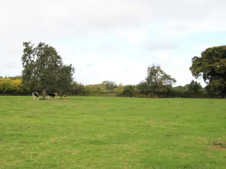 Charmante maison normande avec jardin et cheminée - Photo 18
