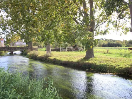 Charmante maison normande avec jardin et cheminée - Photo 19