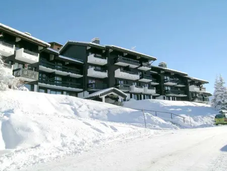 Studio mezzanine cosy, balcon plein sud, quartier calme, proche pistes et commerces, navette gratuite - Photo 8