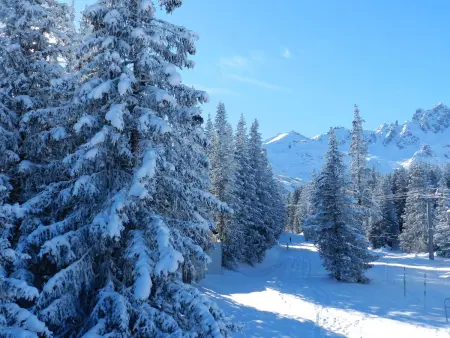 Appartement rénové 42m² - 4 pers - Courchevel 1550, Sud, skis aux pieds, proche centre, parking inclus - Photo 9