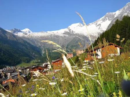 Aster, Appartement 4 personnes à Saas Fee - Photo 18