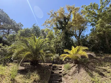 Spacieuse villa familiale avec terrasses à 500m du Bassin - Photo 2