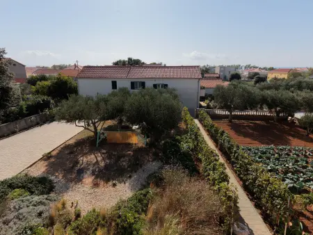 Irena, Appartement 4 personnes à Privlaka - Photo 17