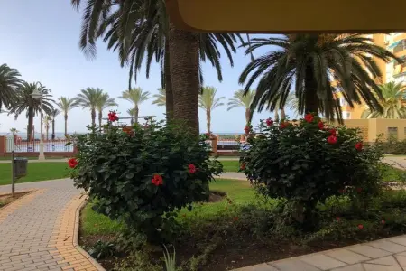 Costa Hollandia, Belle maison de vacances avec jardin - Photo 18