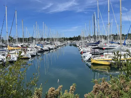 Appartement La Forêt-Fouesnant : port, plage et restaurants à pied, terrasse et parking - Photo 10