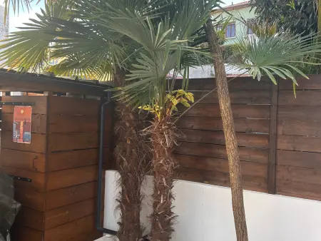 Triplex calme avec terrasse, climatisation, proche plage et commerces à Arcachon - Photo 8