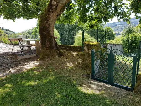 Gîte verdoyant 8 pers, animaux admis, parking, Gite 6 personnes à Laprugne - Photo 3