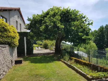 Gîte verdoyant 8 pers, animaux admis, parking, Gite 6 personnes à Laprugne - Photo 4