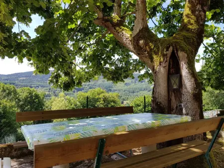 Gîte verdoyant 8 pers, animaux admis, parking, Gite 6 personnes à Laprugne - Photo 5