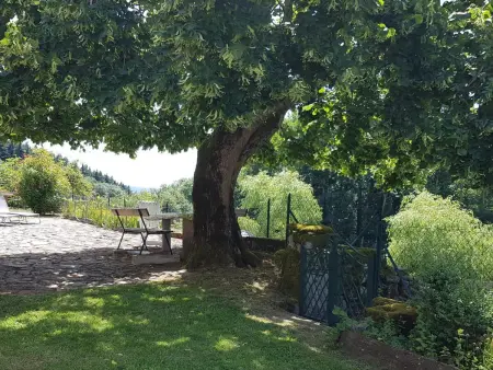 Gîte verdoyant 8 pers, animaux admis, parking, Gite 6 personnes à Laprugne - Photo 7