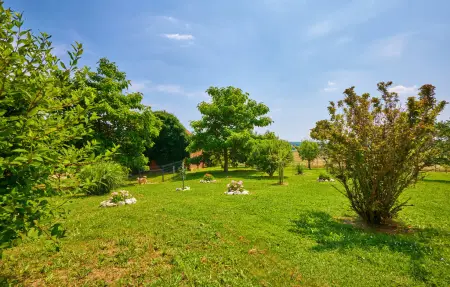 Maison 7 personnes à Krizevci - Photo 21