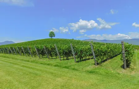 L'isola che non c'è, Maison 7 personnes à Cividale del Friuli - Photo 5