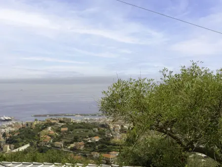 Casetta in campagna, Maison 3 personnes à Sanremo - Photo 16