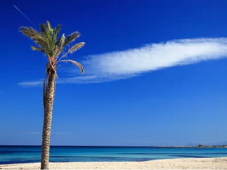 Palma Gaia, Appartement 6 personnes à San Vito lo Capo - Photo 1