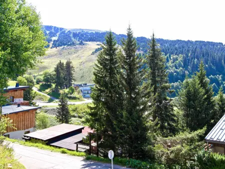Grand studio rénové, 4 pers, animaux admis, Appartement 4 personnes à Chamrousse - Photo 7