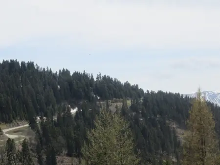Grand studio rénové, 4 pers, animaux admis, Appartement 4 personnes à Chamrousse - Photo 9
