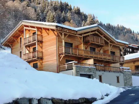 Appartement T3 lumineux avec terrasse et parking, 4 pers, Les Gets - Photo 14